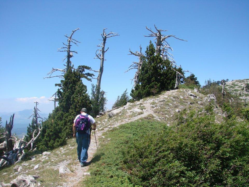 Bed and Breakfast Montagne Rocciose Фрашинето Экстерьер фото