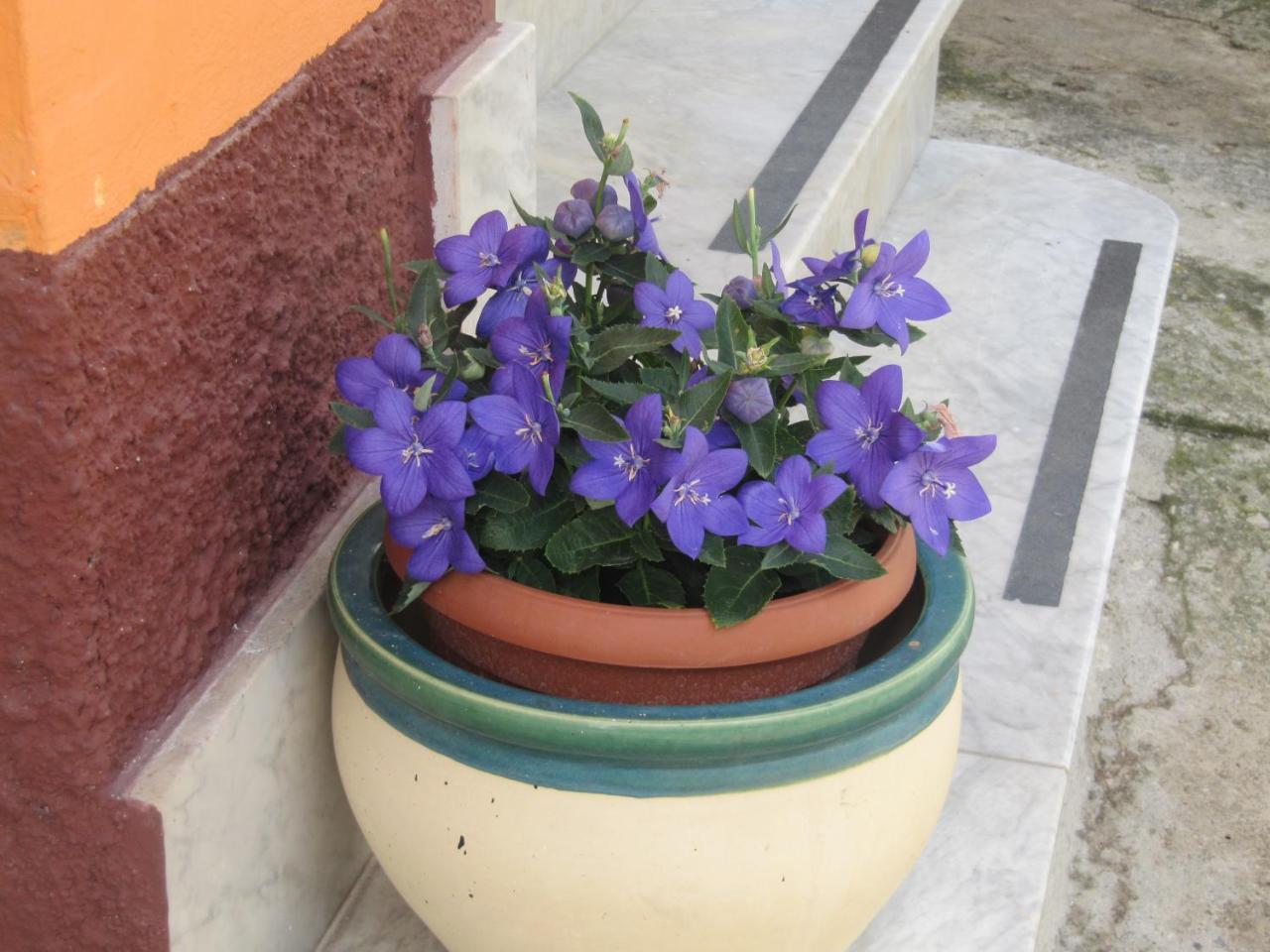 Bed and Breakfast Montagne Rocciose Фрашинето Экстерьер фото